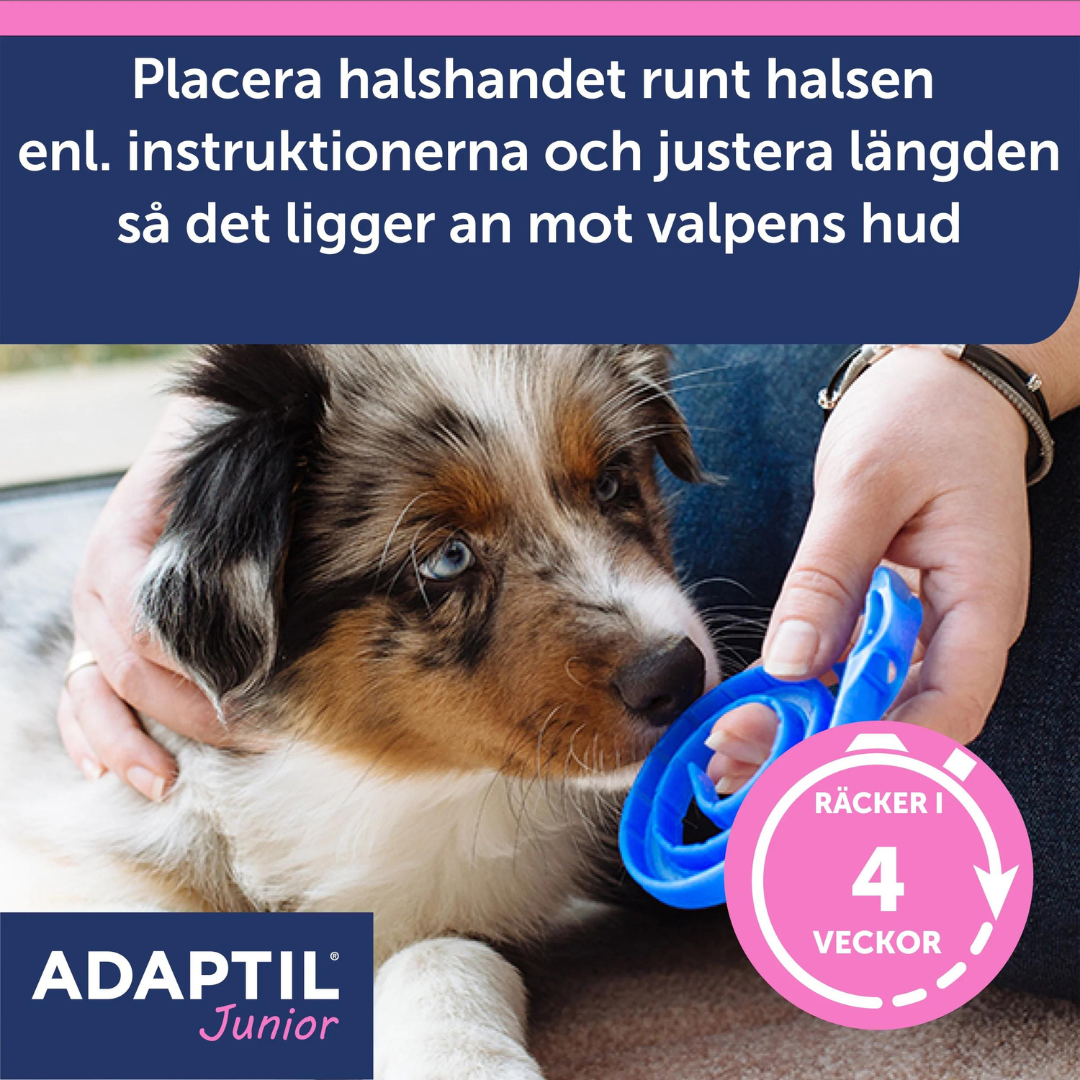 Adaptil Junior halsband