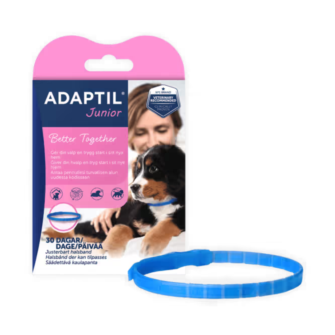 Adaptil Junior halsband